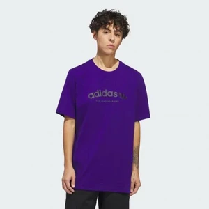 Camiseta Adidas 4.0 Arched Ss Is2660 2