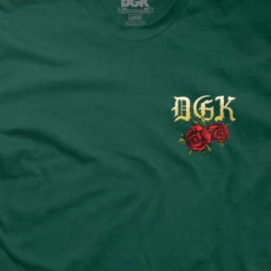 Camiseta Dgk Ridin Dirty Green 3