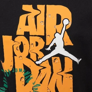 Camiseta Jordan Infantil 8-20a 95d150-023 2