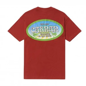 Camiseta Carnan Stamp Heavy Terracotta 1