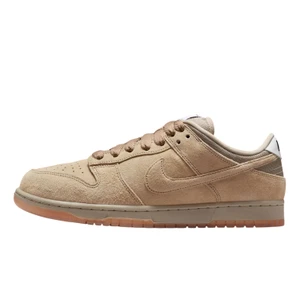 Tênis Nike Sb Dunk Low Pro Parachute Hj0367-200 2