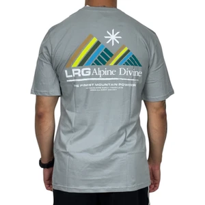 Camiseta Lrg Alpine Divine Cinza 1