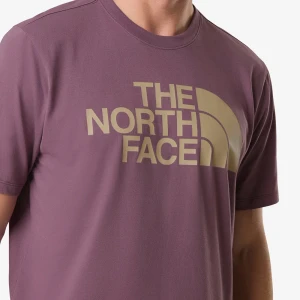 Camiseta The North Face Half Dome Roxo 2