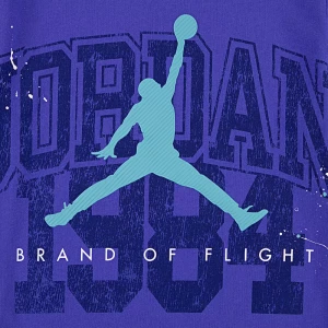 Camiseta Jordan Infantil 8-15a 95d930-p3e 3