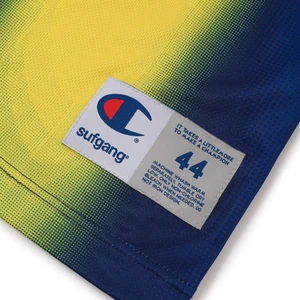 Camiseta Champion Sufgang Raglan Home Blue 4