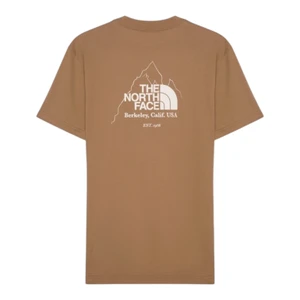 Camiseta The North Face Biner Graphic 4 Marrom 1