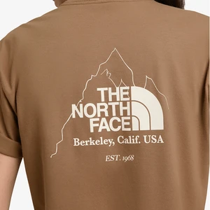 Camiseta The North Face Biner Graphic 4 Marrom 2