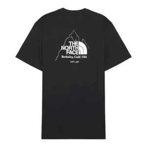 Camiseta The North Face Biner Graphic 4 Preto 1
