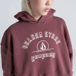 Moletom Volcom Feminino College Bordo 2