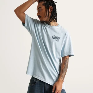 Camiseta Vans Caballero Soft Slate 2
