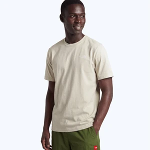 Camiseta The North Face Evolution Bege 3